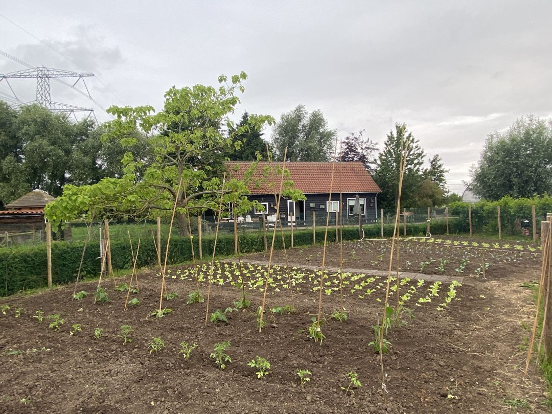 De Tuin