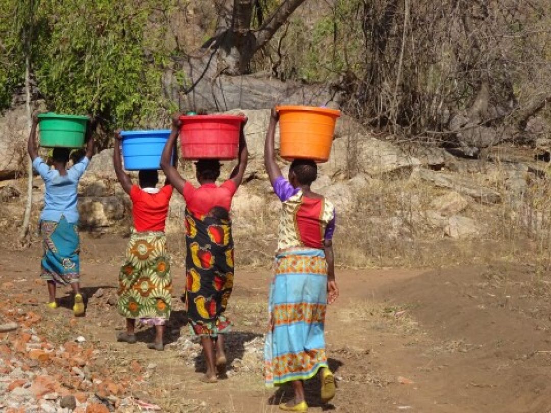 Afbeelding bij ‘Winterwandeling t.b.v. Stichting Timotheos’